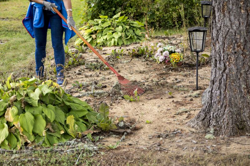 Local Property Clearing Service pros at work