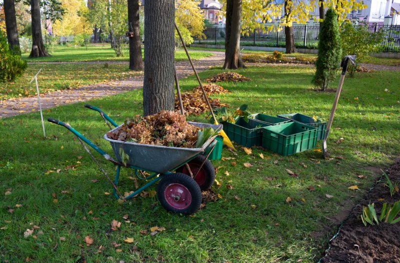 Property Clearing Service