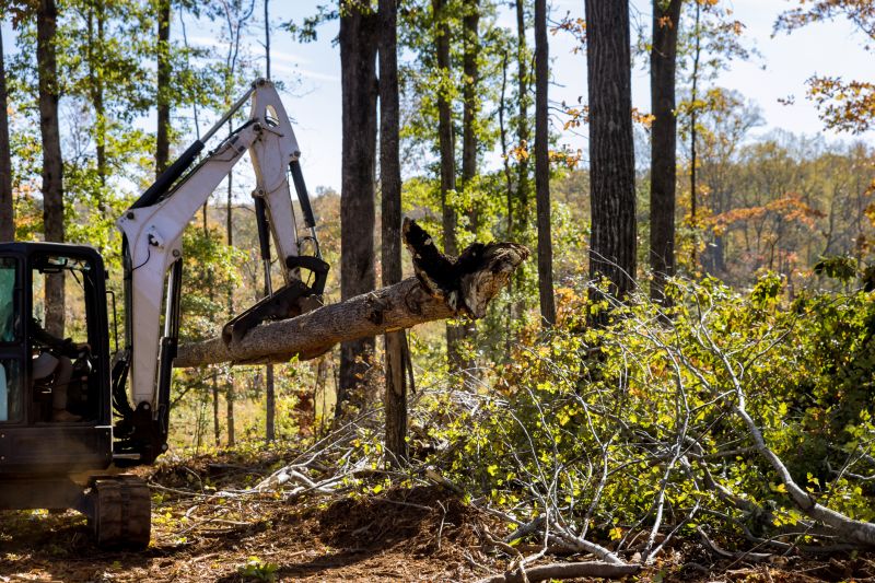Construction Site Land Clearing in Houston, TX