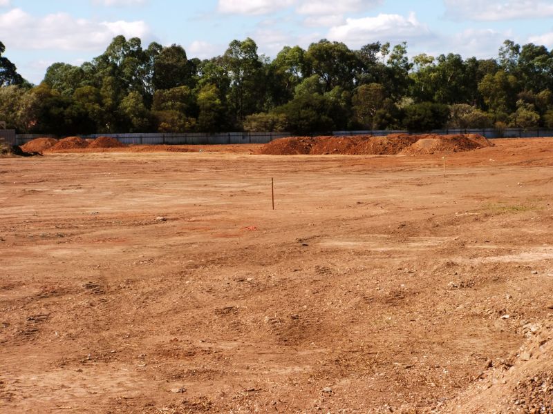 Easement Land Clearing in Gwinnett County, GA