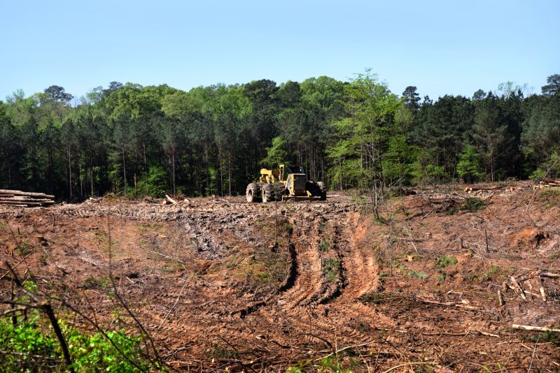 Site Clearing Service in Katy, TX