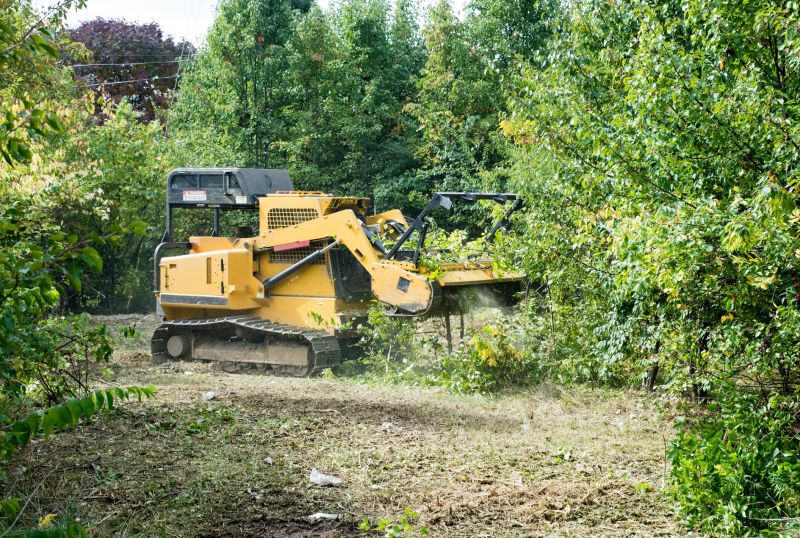 Underbrush Clearing in Utah County, UT